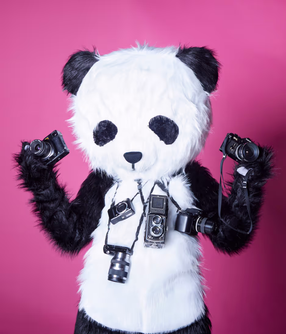 Photo by Brian Mahany