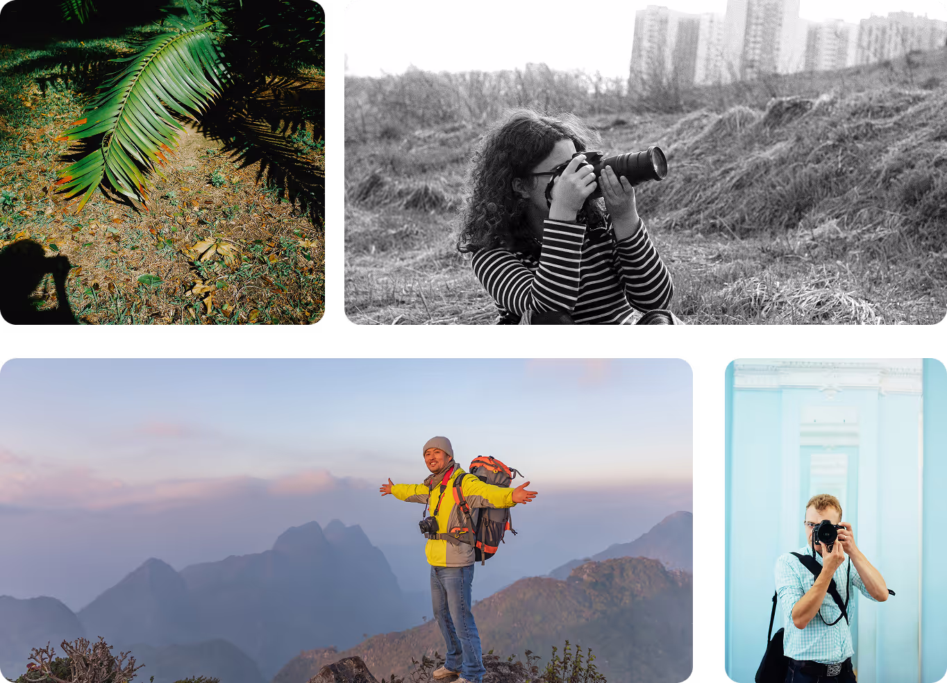 Photos by Giullia Squillace, Daria Kotletova, Tinnakorn Jorruang, Getty Images