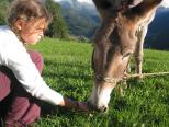 TOUR DU MONT BLANC Famille avec les enfants et de jolis petits ânes