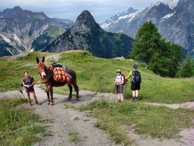Tour du Mont Blanc Intégral avec mulet