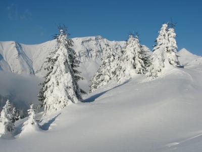 WEEK-END REFUGE, Sapins et montagnes "plâtrés" de neige
