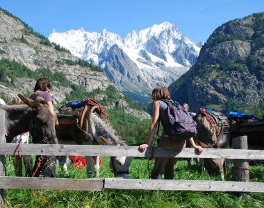 Tour du Mont Blanc famille à pied avec des enfants et des ânes