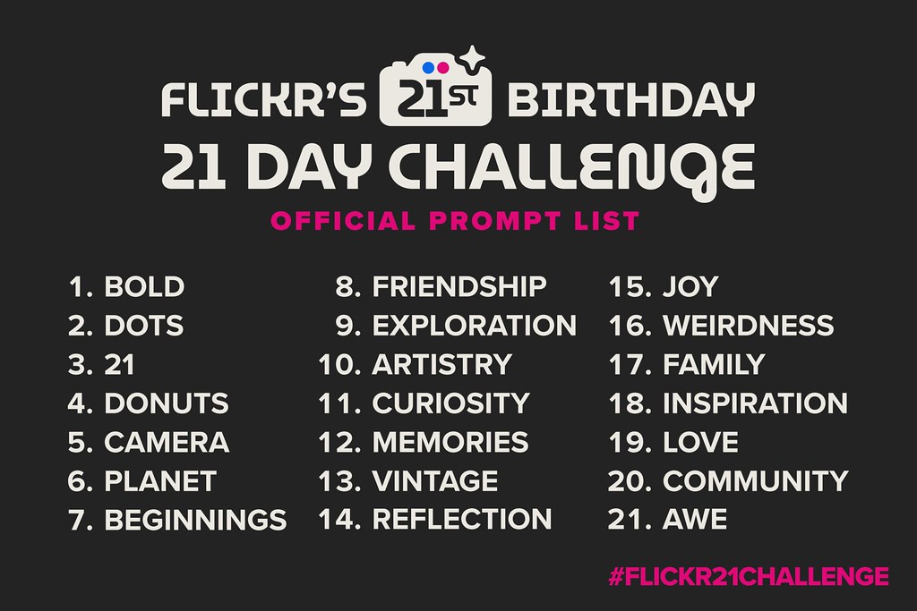 Flickr's 21st Birthday Photo Challenge