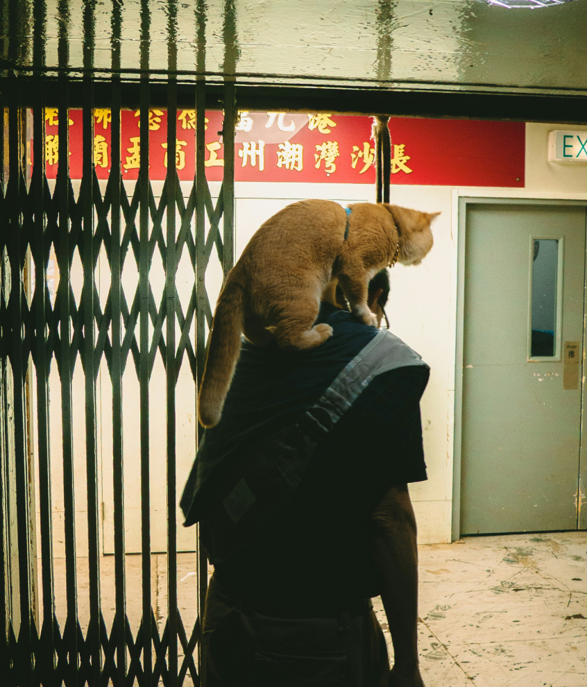 Photo by Raymond Yeung